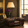 Lit pour chien Chesterfield petite taille cuir antique